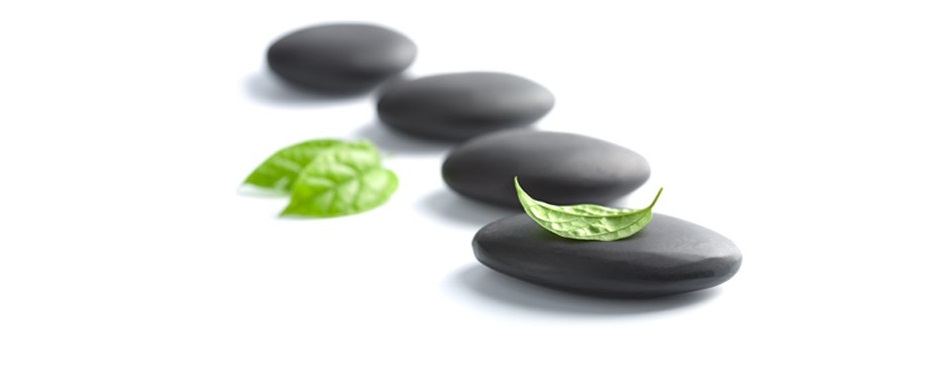 Healing Healthcare